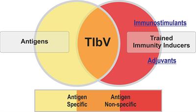 Editorial: Trained Immunity-Based Vaccines